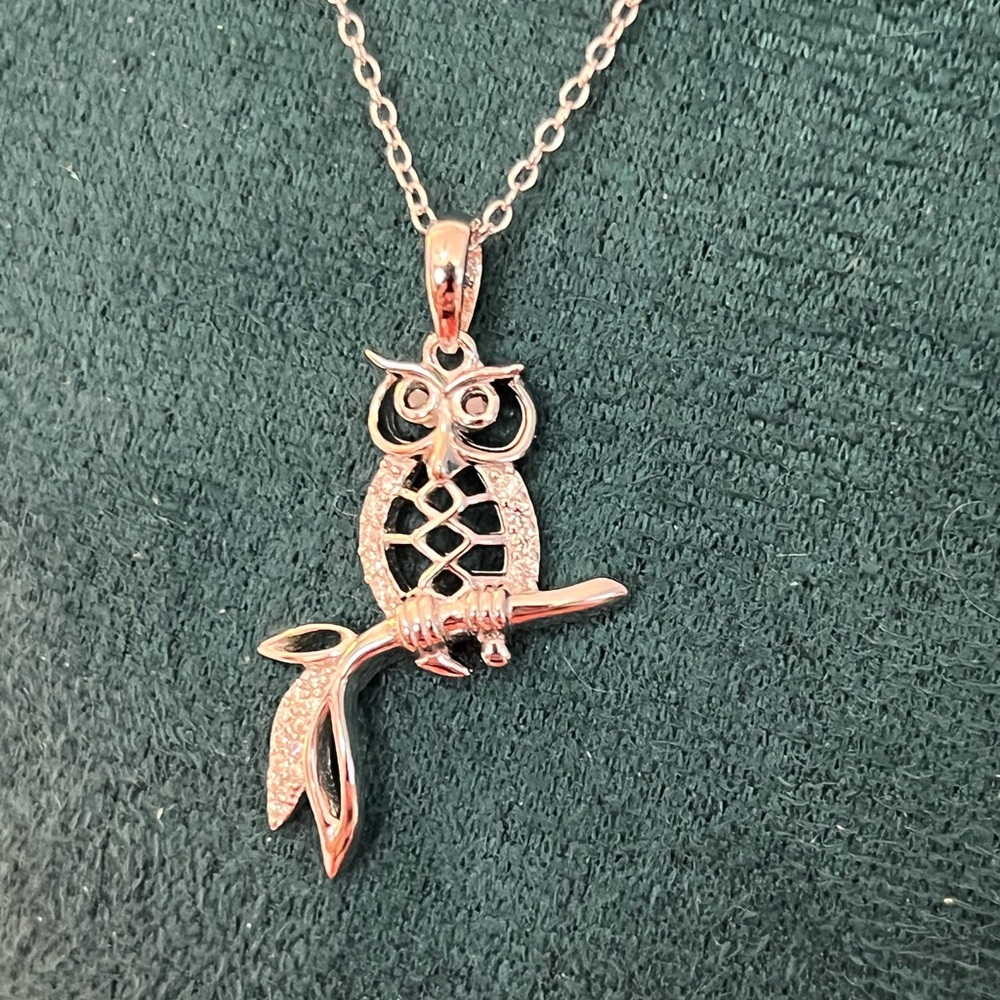 Charming Moissanite and 925 Silver Owl Pendant Necklace